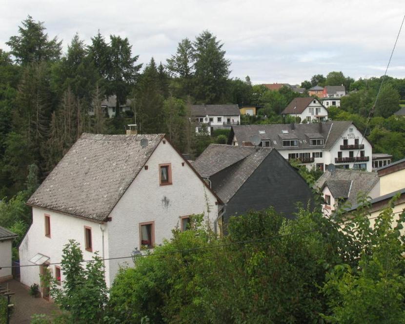 Um Die Ecke Apartment Manderscheid Exterior foto